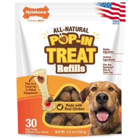 Nylabone Pop In Treat Refills for Power Chew Treat Toy Combo