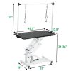 43 Inch Adjustable Heavy Type Hydraulic Pet Dog Grooming Table Upgraded Professional Drying Table Heavy Duty Frame with Adjustable Arm and Noose